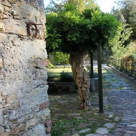 Celi Di Luna Guest house