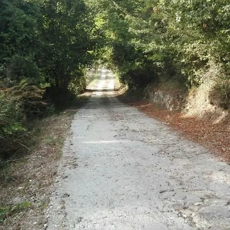 Celi Di Luna Castelnuovo Magra